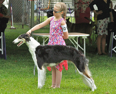 Top Junior Handler 2018